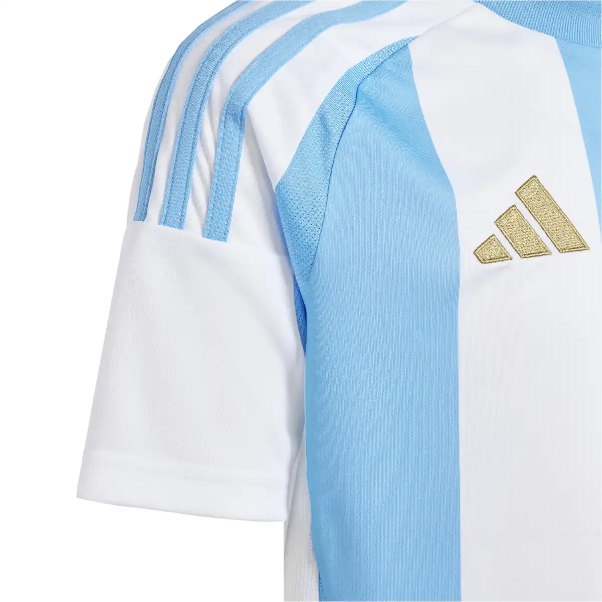 ARG_Y_4-1.webp