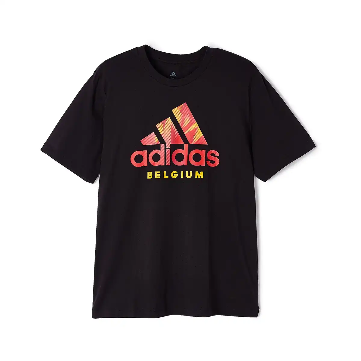FIFAMT002003_1.webp