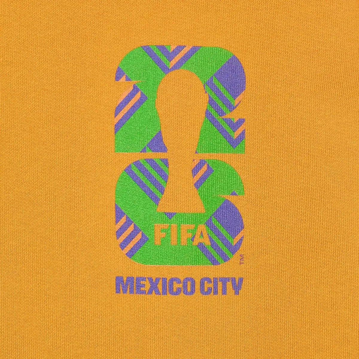 HCMexicoCityHoodie_4.webp