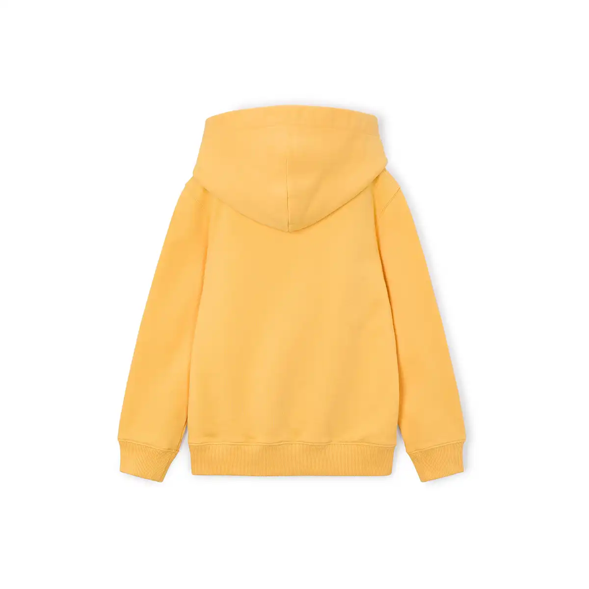 KidsHCBostonHoodie_2.webp