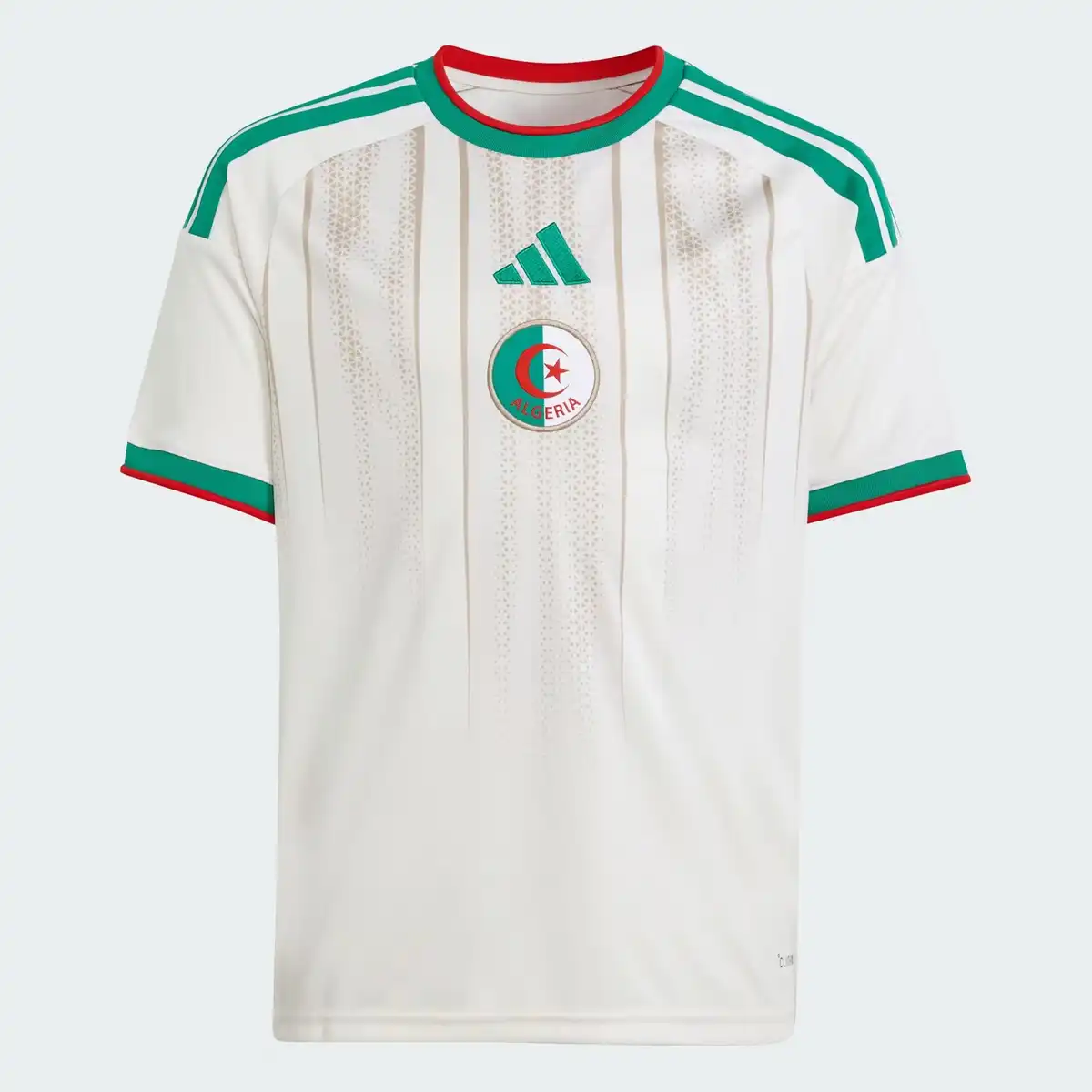 algeria_y_1.webp